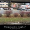 Straż wiejska 