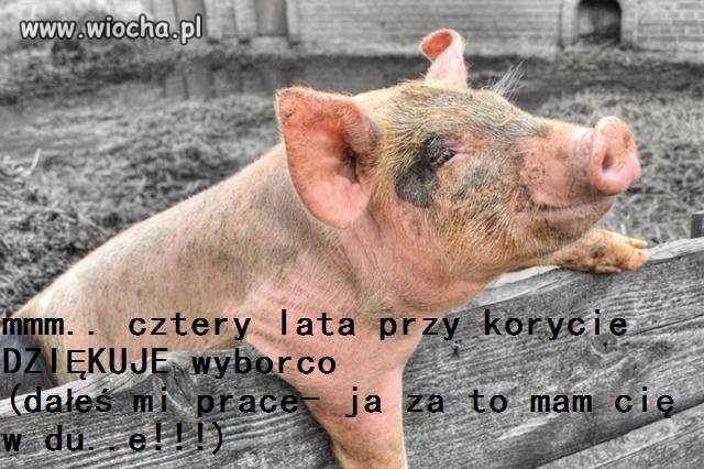 Wybory
