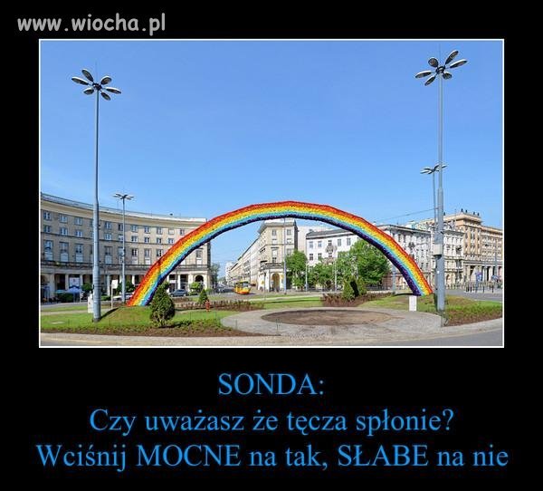 Prawdziwym bezsensem jest to, że 