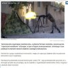 Najpierw wpuszczają, karmią, utrzymują