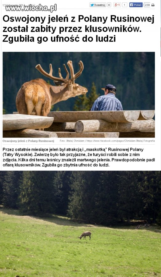 Tylko jedno słowo opisuje  czyn...
