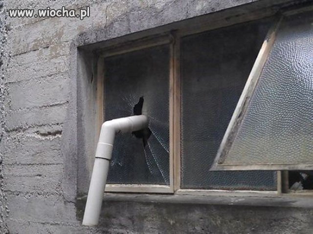 Stachu zamontował