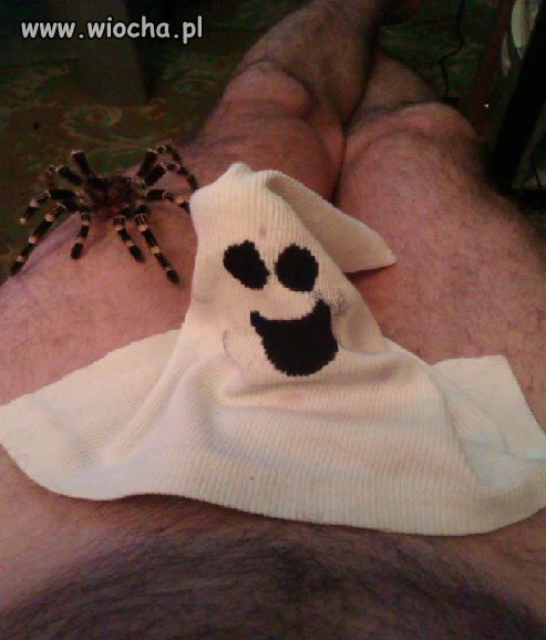 Takie tam na Halloween