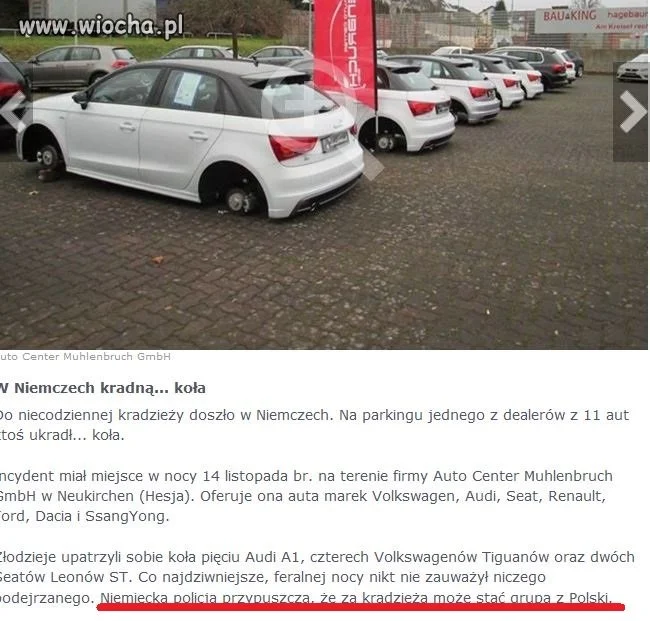 Polacy znani są za granicą jako złodzieje