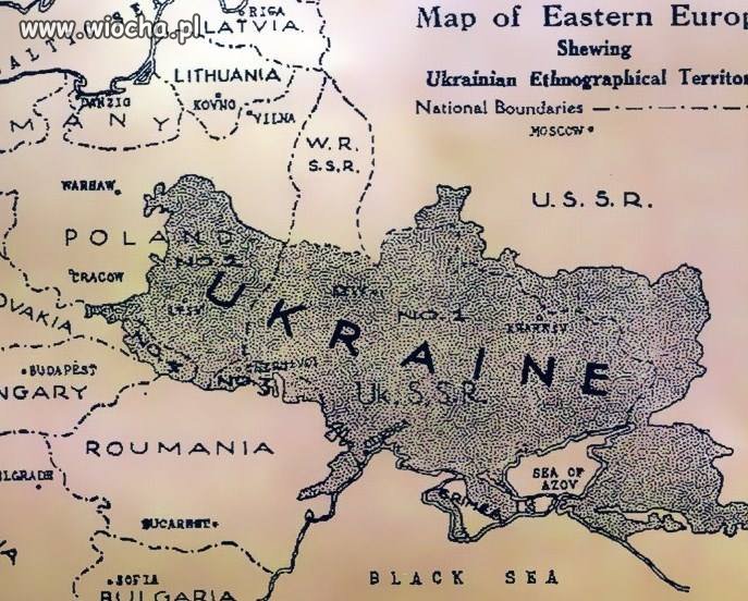 Marzenia banderowców?
