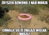Kolega dzwonił z nad morza