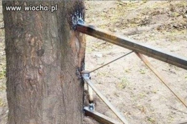 Spawanie level expert