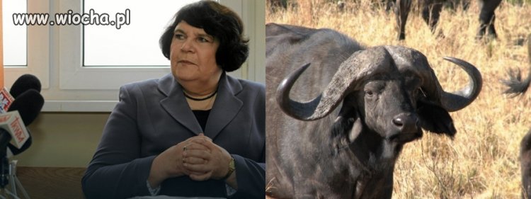 Nie wiem czemu