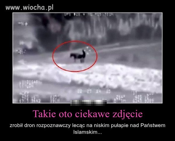 Przyłapani...