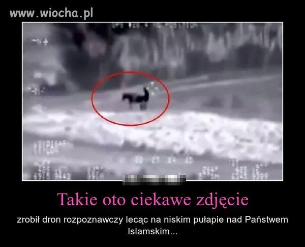 Przyłapani...