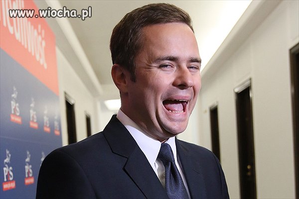 Wolf of wiejska street