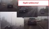 Jazda na światłach dziennych w gęstej mgle