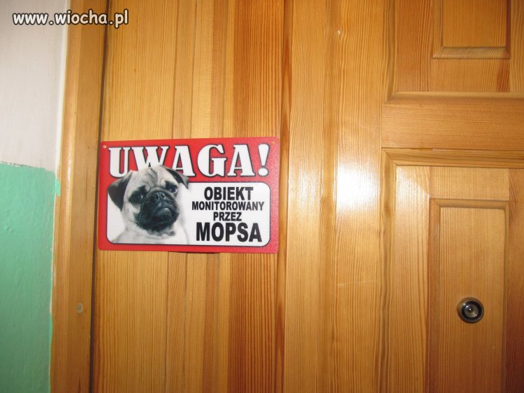 Tymczasem u sąsiadów...