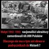 Może wprowadzić parę słów
