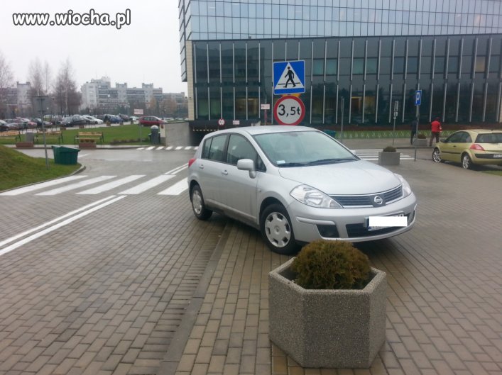 Parkowanie po Rzeszowsku