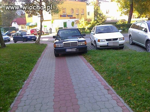 "Miszcz" parkowania