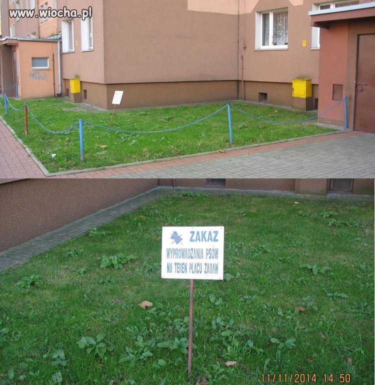 Jak pięknie być dzieckiem
