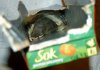 Sok pomarańczowy z niespodzianką