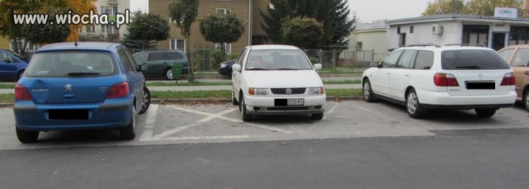 Mistrz Parkowania