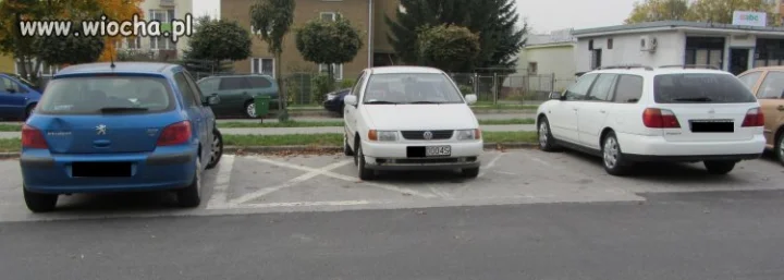 Mistrz Parkowania