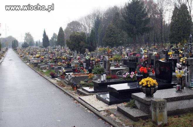 Wezwania do zapłaty leżały na nagrobkach we Wszystkich 