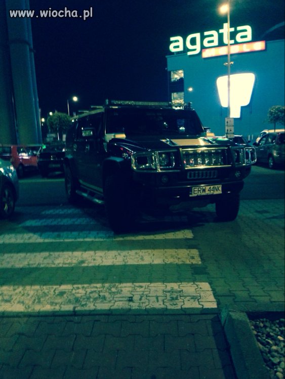 Mistrz parkowania