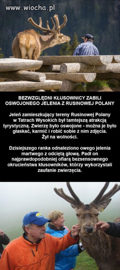 Po prostu ręce opadają