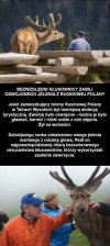 Po prostu ręce opadają
