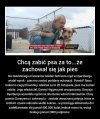 Pies Beau ma zostać zabity za zagryzienie kaczki! 