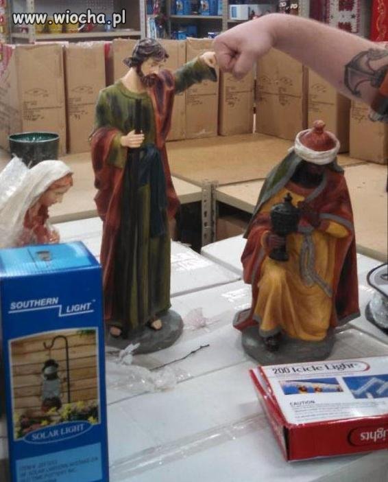 Żółwik Józef!