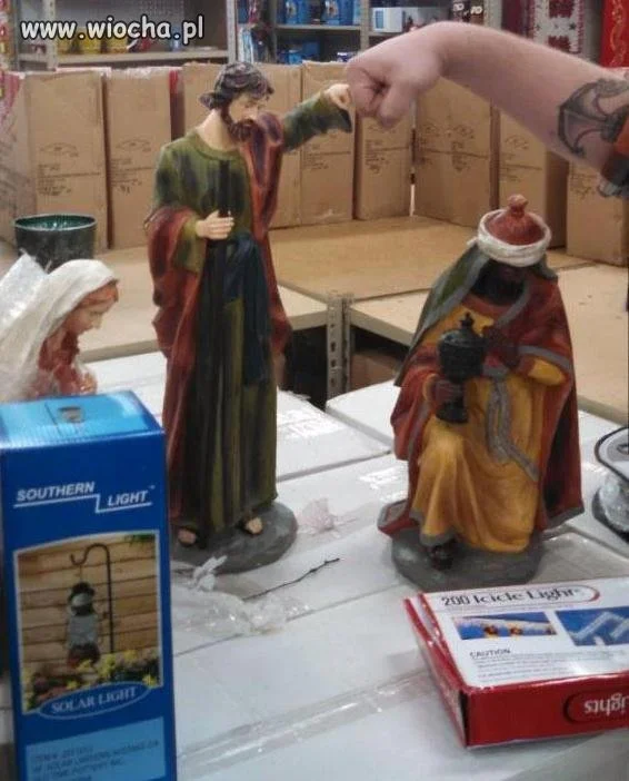 Żółwik Józef!