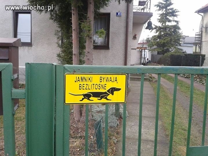 Pewno skacze do gardła