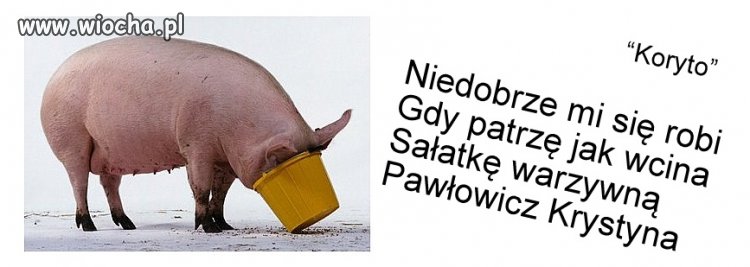 Koryto