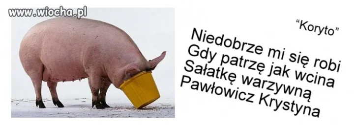 Koryto