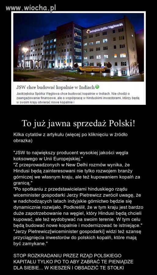 Kur*y w nocy próbowały sprzedać lasy państwowe...