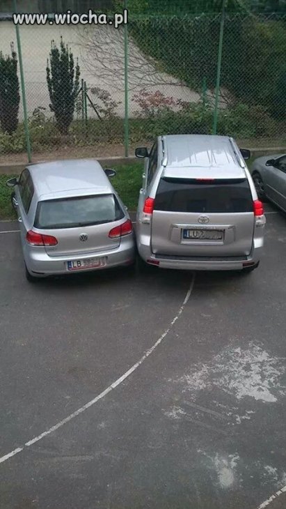 Mistrzowie parkowania w akcji