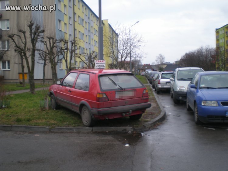 Miszcz Parkowania