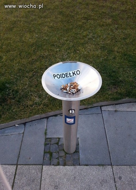 Gratulacje idioci.