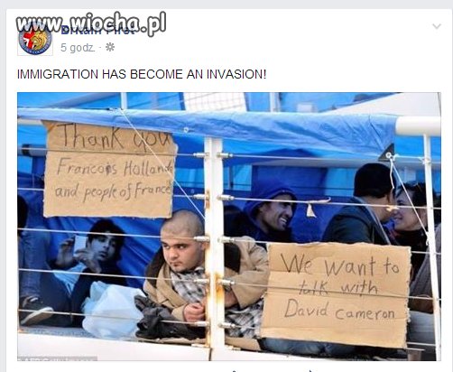 To już nie imigracja. To inwazja. 