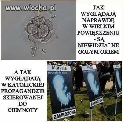 Jak katolicy wyobrażają sobie