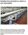 Polska kraj głupców