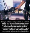 Kraj absurdów.