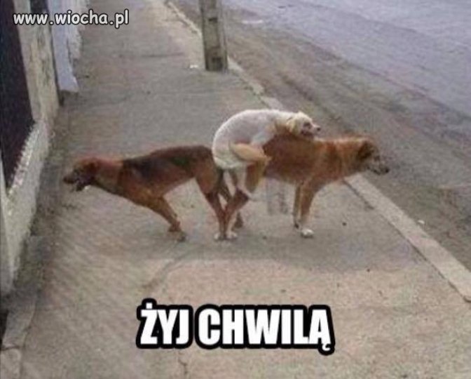 Proste przesłanie 