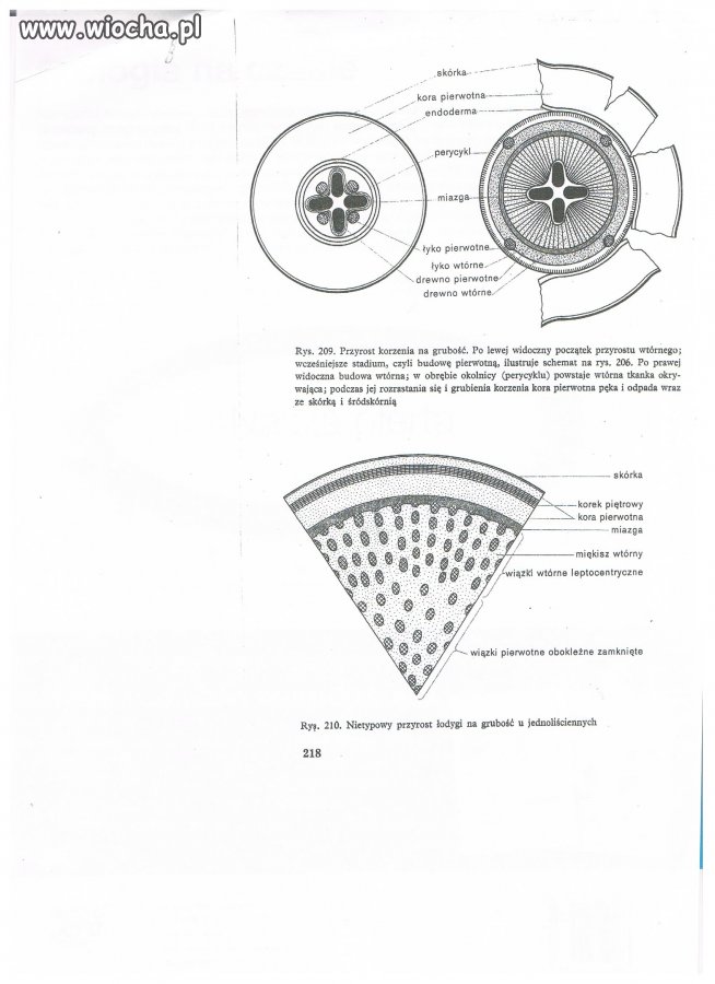 Element galerii