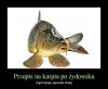 Wesołych Świąt!!!