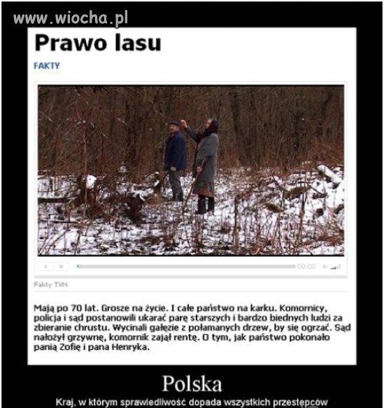 A złodzieje z sejmu nadal bezkarni...
