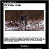 A złodzieje z sejmu nadal bezkarni...