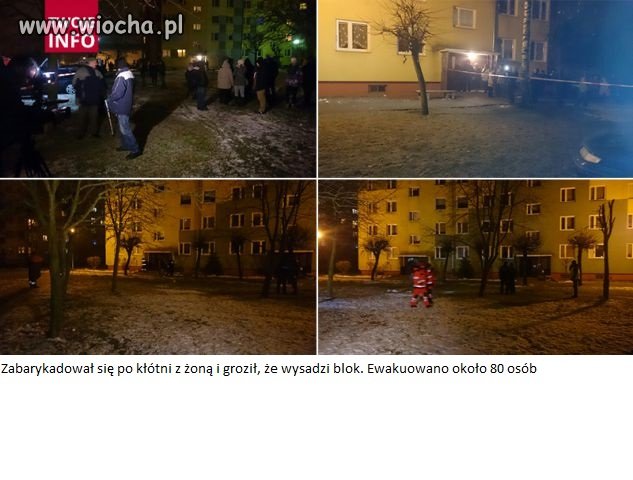Głupota czy ślepa miłość ...