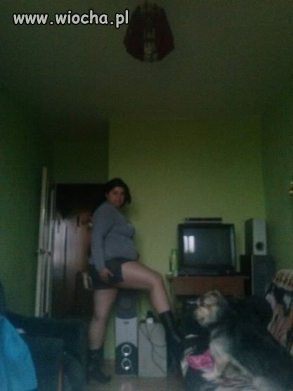 Miau !! Waldek, co ty na to ?? 