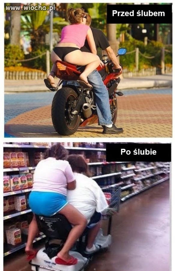 Ewolucja.